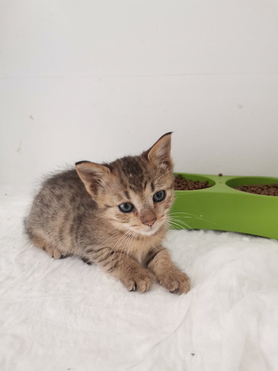 Bugün 63. Gün bitti
Beni kafesten kim kurtaracak