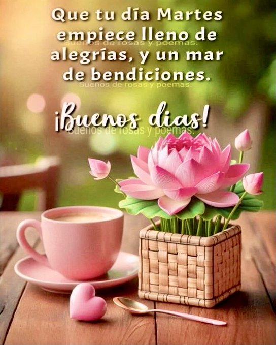 Pink lotus flowers arranged in a woven basket on a wooden table, positioned next to a pink teacup on a saucer with a spoon and a small pink heart shape nearby, set against a blurred green outdoor background.