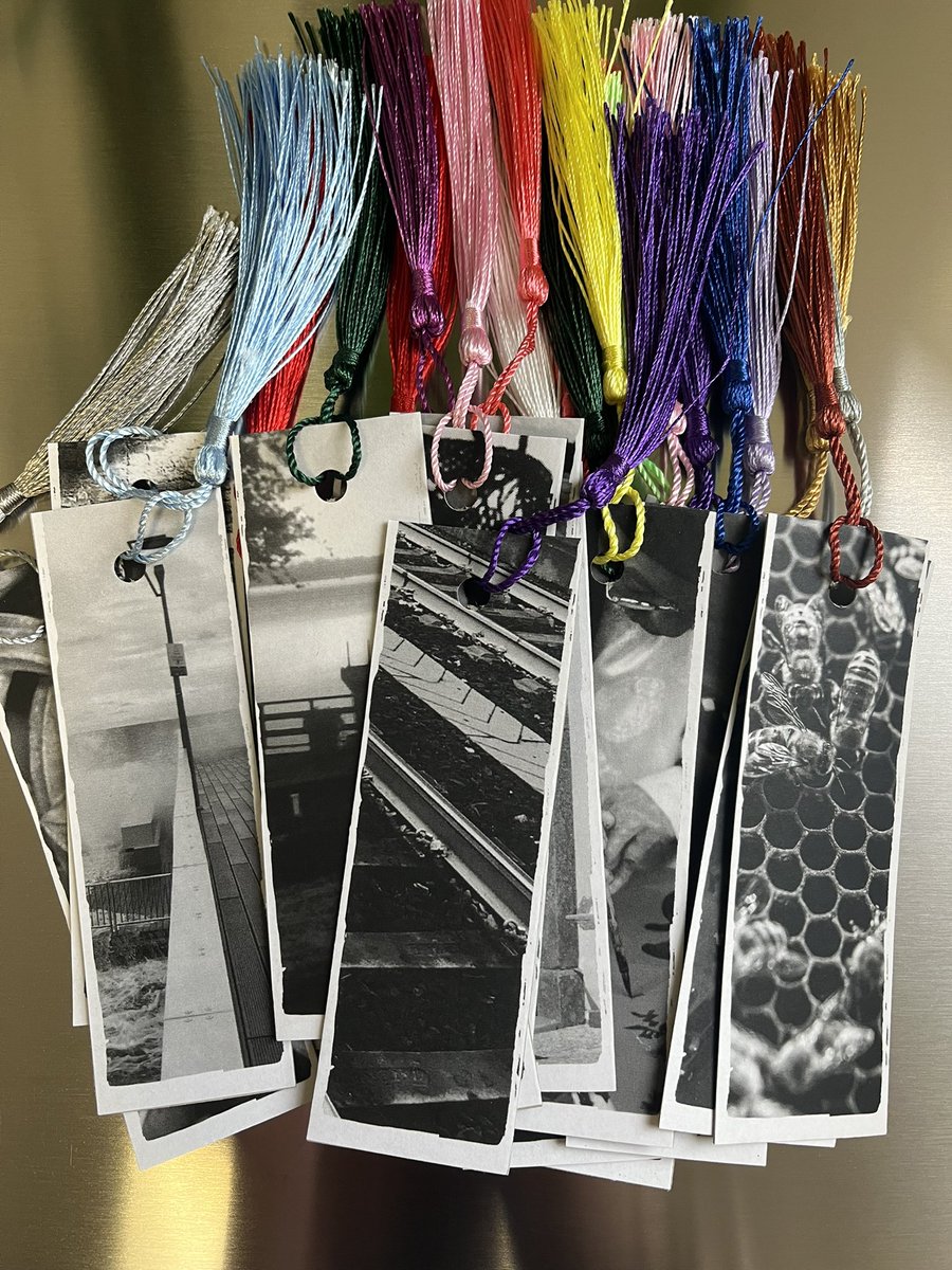 Anita Vines tweet media