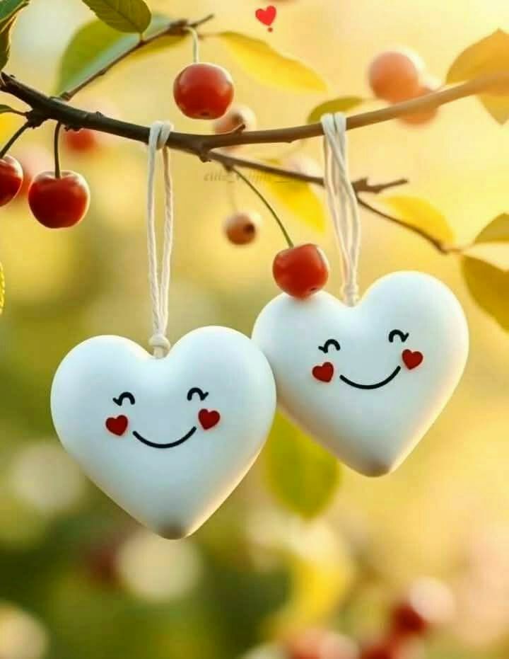 #اليوم_العالمي_للعزاب
#بوح_آخر_الليل 
#بوح_المشاعر 
#حبيت_أقول 
#فضفضه 
#مساء_الخير_والسعاده 
#مساء_الــود_والـــورد 
#مساء_الخير 

هات كفك وحس الشوق في كفي
ياوله خافقي و الكف مديته

لو وصفت المشاعر ماني موفي
يمكن تحس اذا هالكف ضميته❤️