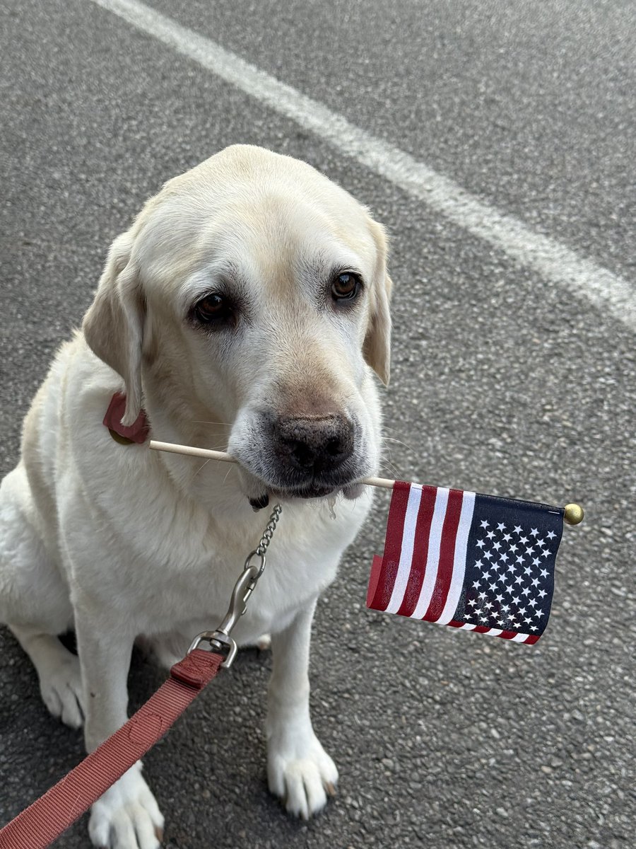 Happy Veterans Day!  🇺🇸