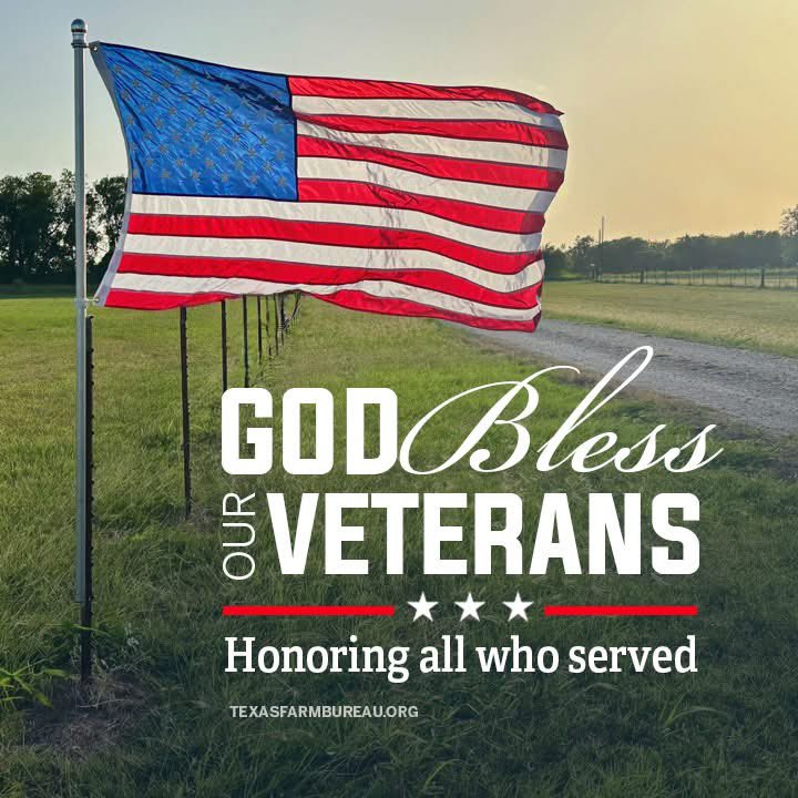 TexasFarmBureau's tweet photo. Red. White. And blue. God bless America and our veterans. Honoring all who have served today and every day! #VeteransDay https://t.co/V2kLUrxBRG