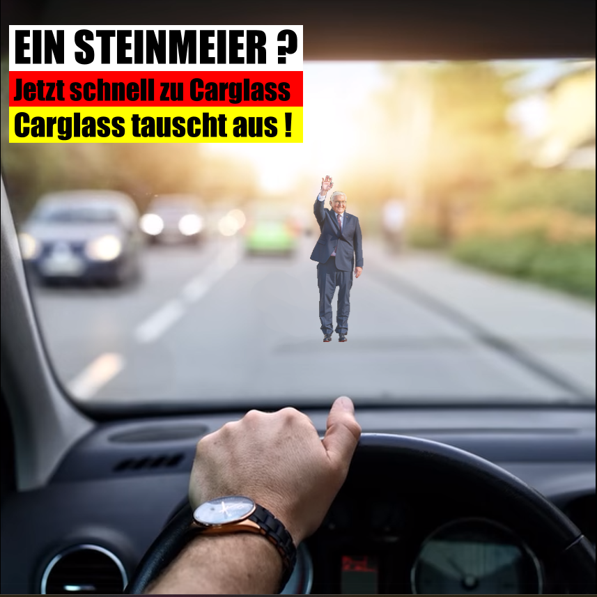 XselbstDenker's tweet photo. @Alice_Weidel #steinmeier #carglass #repariert #tauscht https://t.co/XSKPy6exka