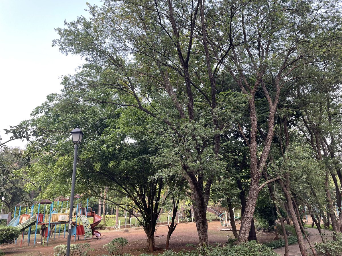 Thakur Village, Kandivali: More open and green spaces here than the whole of Andheri West.