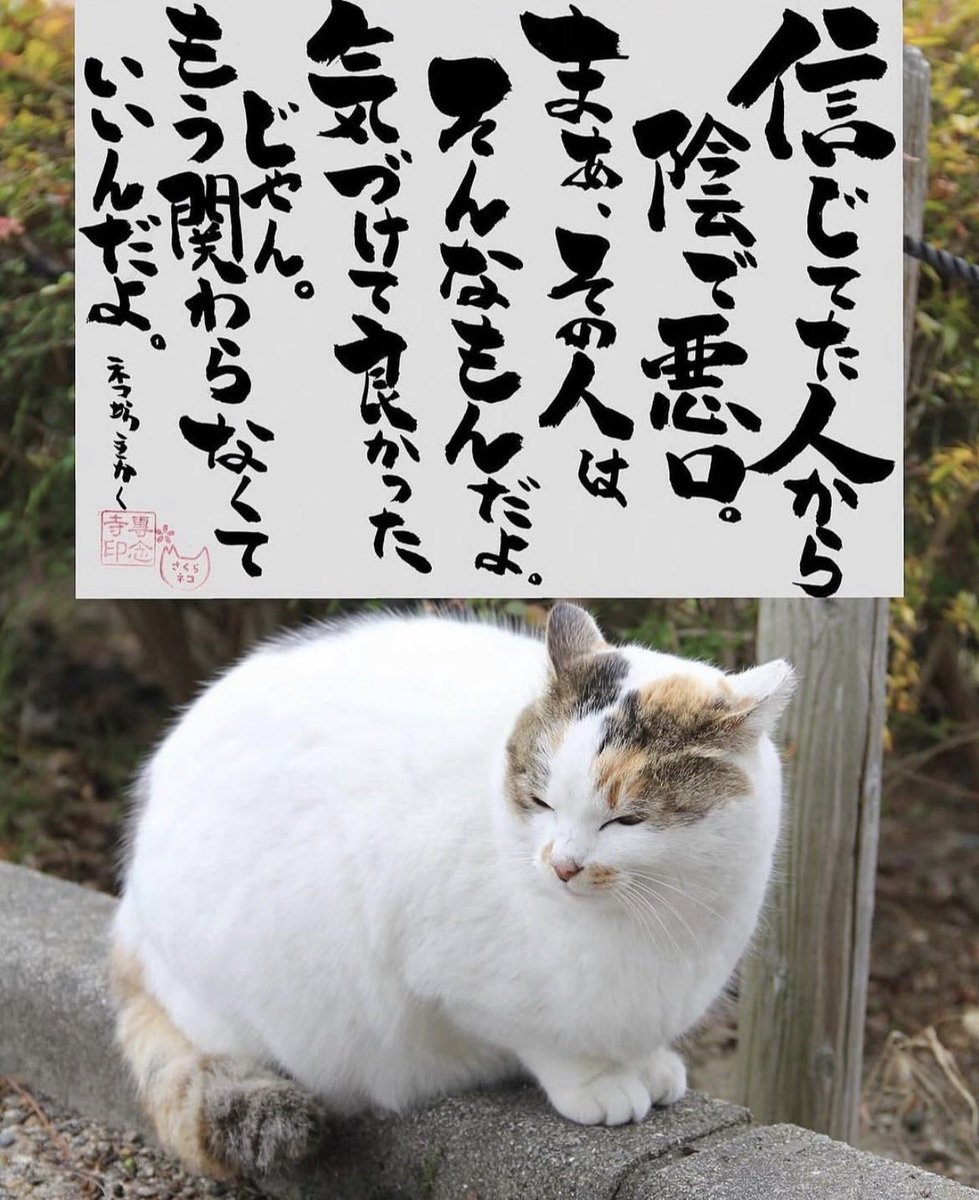 ネコさんから人間さんへ今日の一言