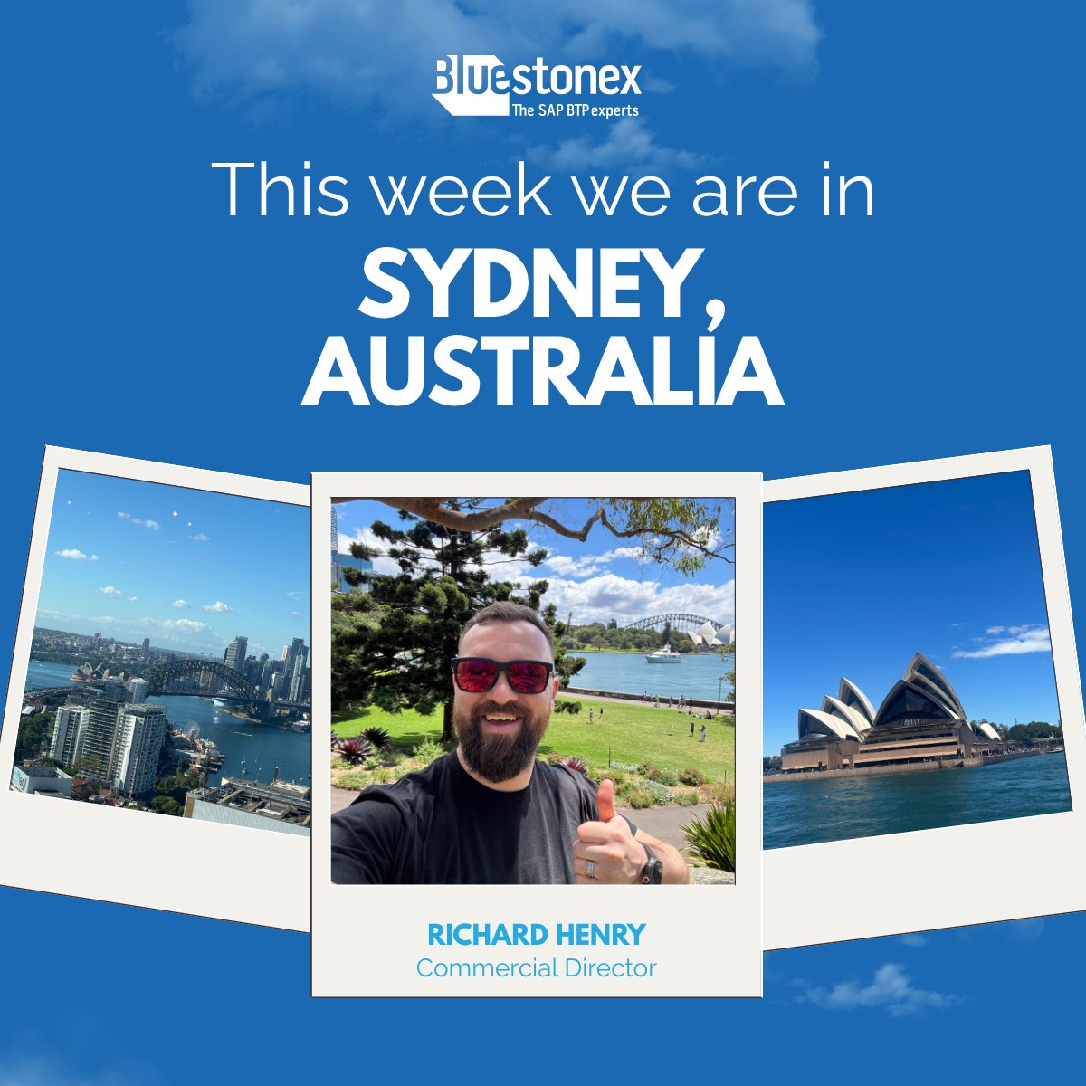 Bluestonex - SAP BTP Experts tweet media