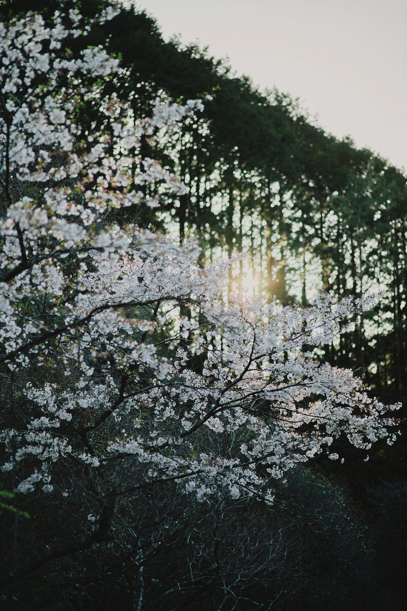 I wish you happiness