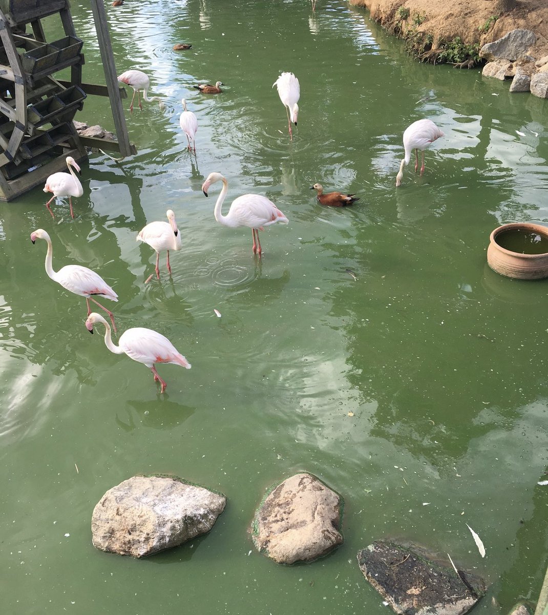 Özgürlük, insana ait en mükemmel hazine ve vazgeçilmez bir haktır.