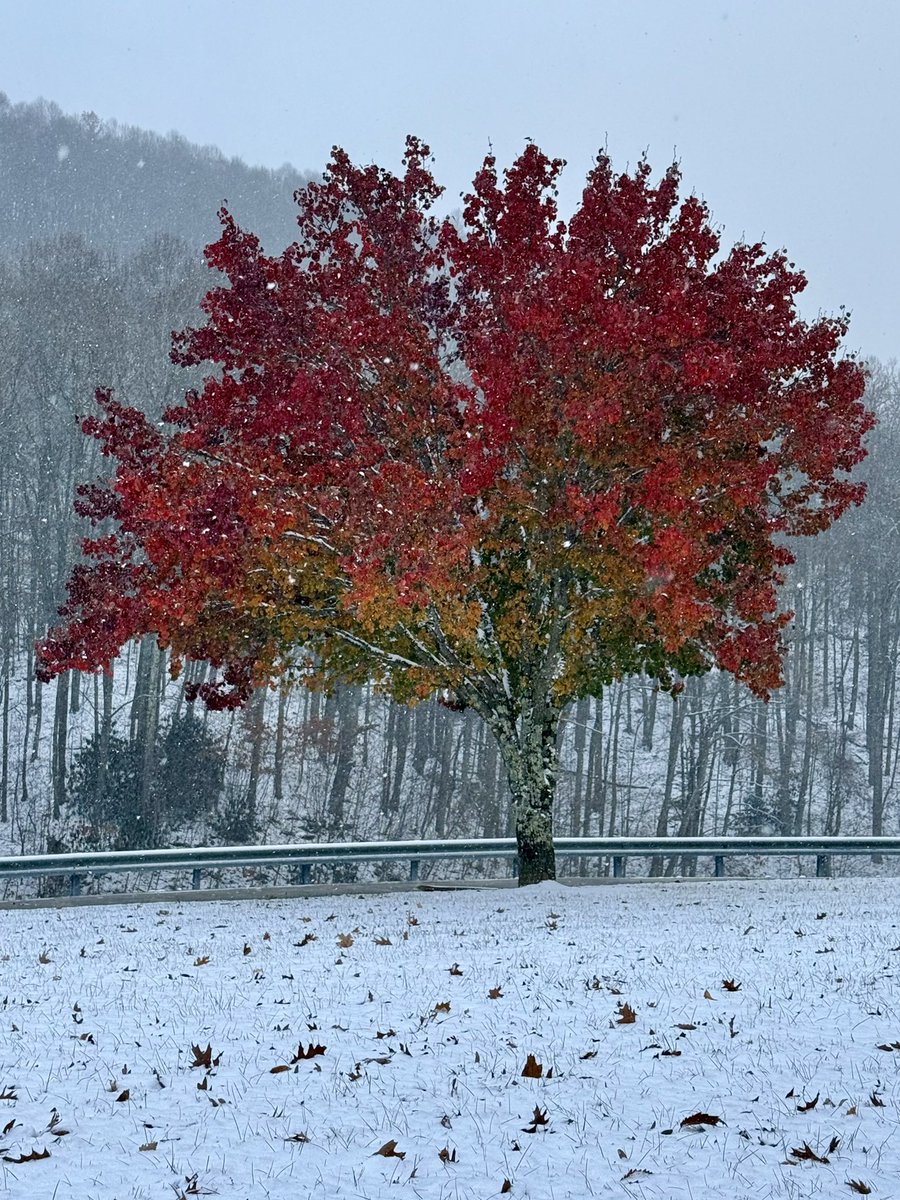 NC/TN HighCountryWX tweet media