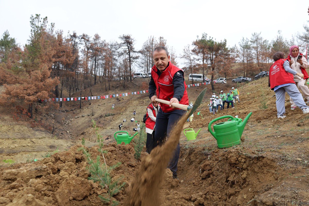 GSB_MarasGM's tweet photo. 🌱 11 Kasım Milli Ağaçlandırma Günü’nde, İl Müdürümüz, protokol üyeleri, Kahramanmaraş Gençlik Merkezi personeli ve gönüllülerimizin katılımıyla fidan dikim etkinliği gerçekleştirildi. Geleceğe nefes olmak için yeşile umut diktik! 💚 #GeleceğeNefes #MilliAğaçlandırmaGünü https://t.co/poaS6zfSxH