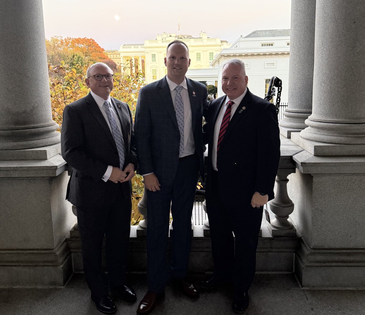 Dr Tim Reeder tweet media