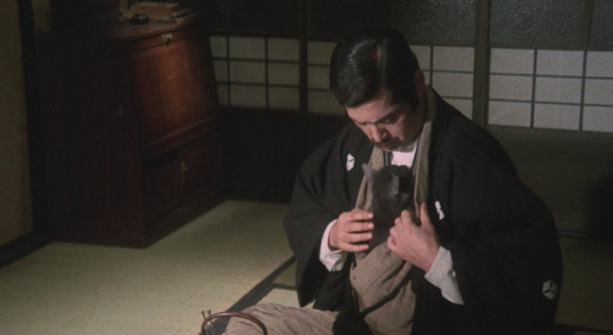 La Ronronthèque tweet media