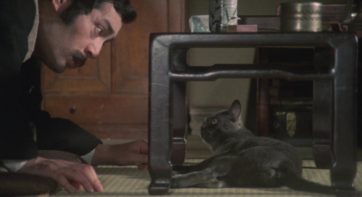 La Ronronthèque tweet media