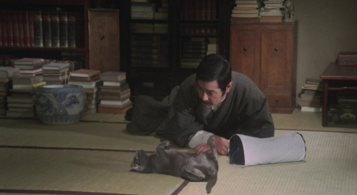 La Ronronthèque tweet media