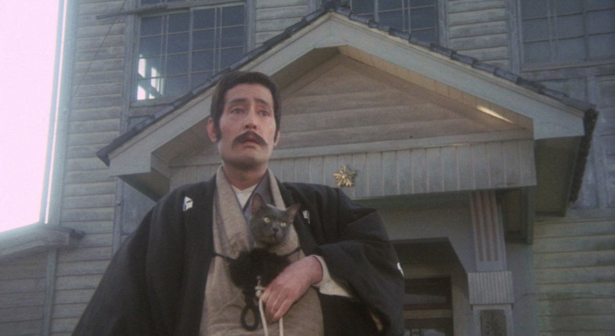 La Ronronthèque tweet media