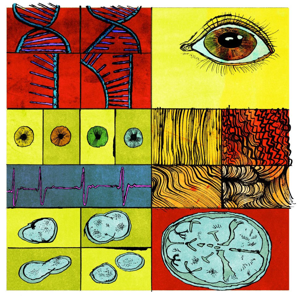 CBrianF's tweet image. Los bebés genéticamente modificados están prohibidos. Los gigantes tecnológicos intentan crear uno de todos modos.

Las empresas emergentes financiadas por algunos de los multimillonarios más poderosos de #SiliconValley están ampliando los límites de la genética reproductiva