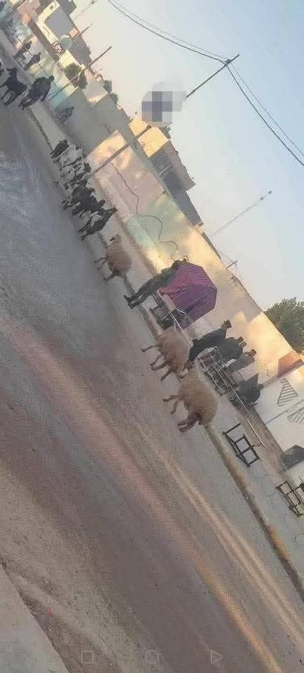 تاوفد الناخبين باعداد كبيرة
#مقاطعون