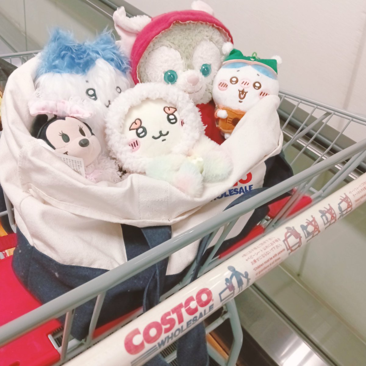 のいず様♡確認page☆ジェラトーニss すのむ on X