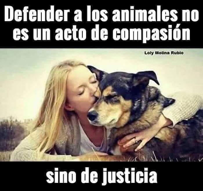 Buenos días Feliz martes ✨💖