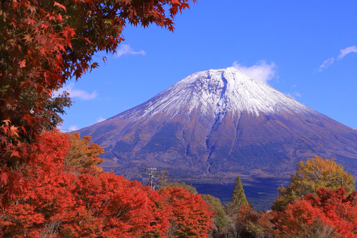 𝓱𝓪𝔂𝓪 🖼🦋🌽 (@swim460khj) / Posts / X