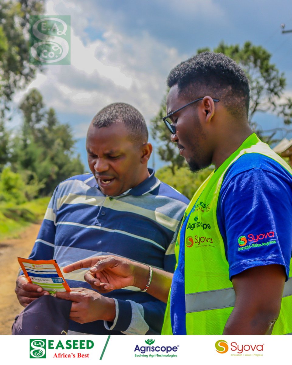 easeedco's tweet photo. A well-informed farmer is a powerful farmer!  From choosing the right seed to harvesting a bumper crop — every decision matters. That’s why we’re here to walk with you every step of the way, sharing expert advice, field tips, and farmer-friendly solutions. https://t.co/1sFEQzMYs3