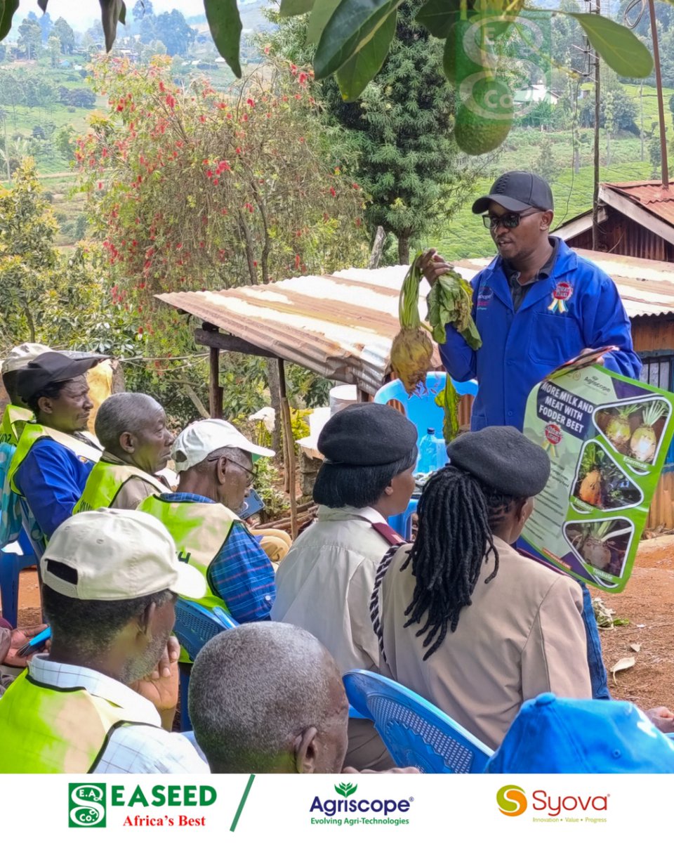 easeedco's tweet photo. A well-informed farmer is a powerful farmer!  From choosing the right seed to harvesting a bumper crop — every decision matters. That’s why we’re here to walk with you every step of the way, sharing expert advice, field tips, and farmer-friendly solutions. https://t.co/1sFEQzMYs3