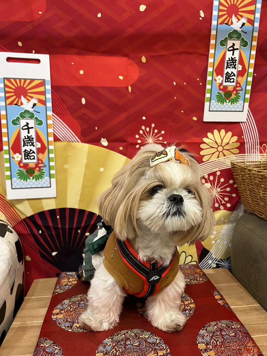 ☆な〜ちん☆ (@Ranmaru0211) / Posts / X