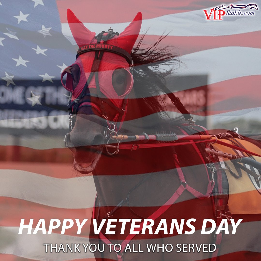 Happy Veterans Day! Thank you to all who served.