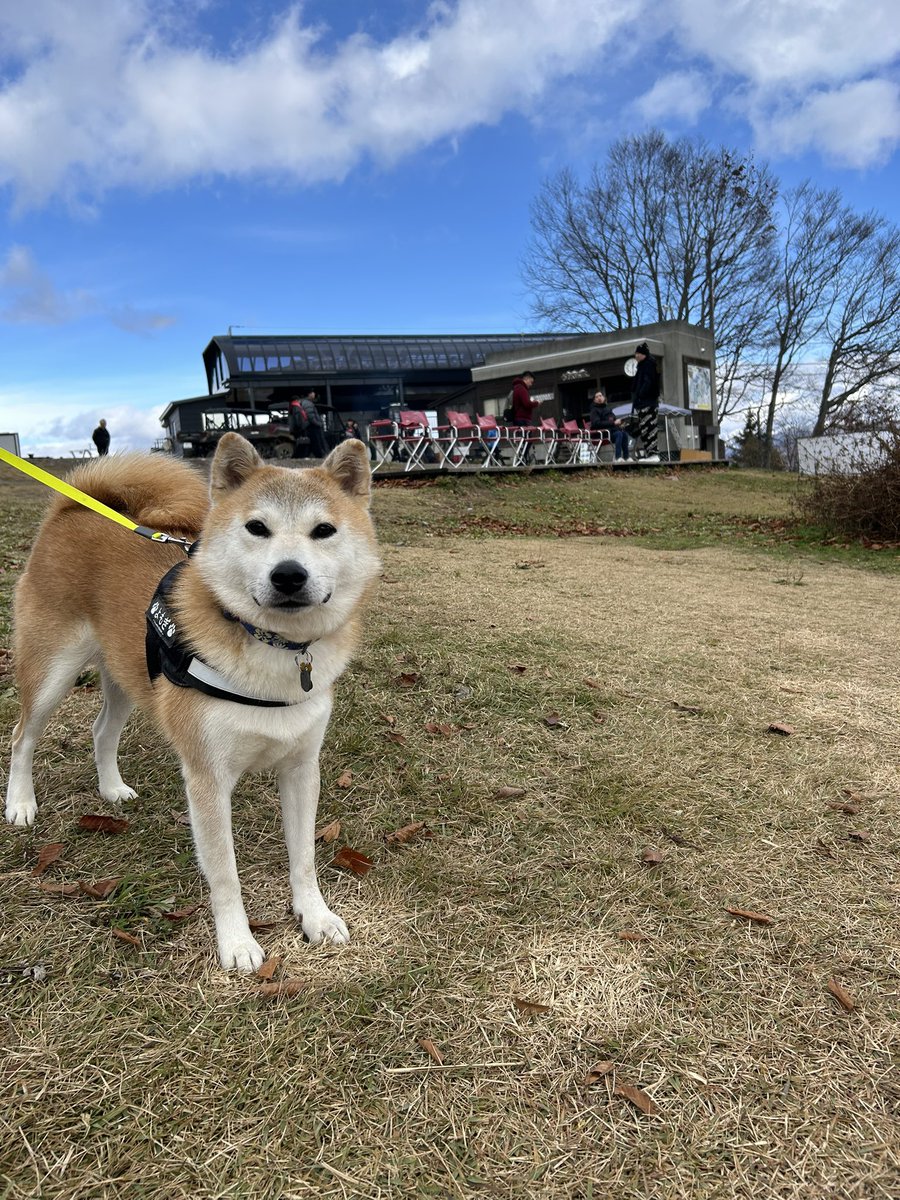 晴れてて良かった
 #白馬岩岳