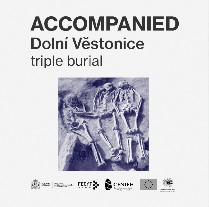 DEATHREVOL1's tweet photo. The first part of 𝘈𝘤𝘤𝘰𝘮𝘱𝘢𝘯𝘪𝘦𝘥 series is here! #burials 💀

We are off to Dolní Věstonice, where three young people were buried side by side over 31,000 years ago.

Learn more on our site: https://t.co/lpC7MSTLRI

@ERC_Research @FECYT_Ciencia @CENIEH https://t.co/ydquLkGDR6