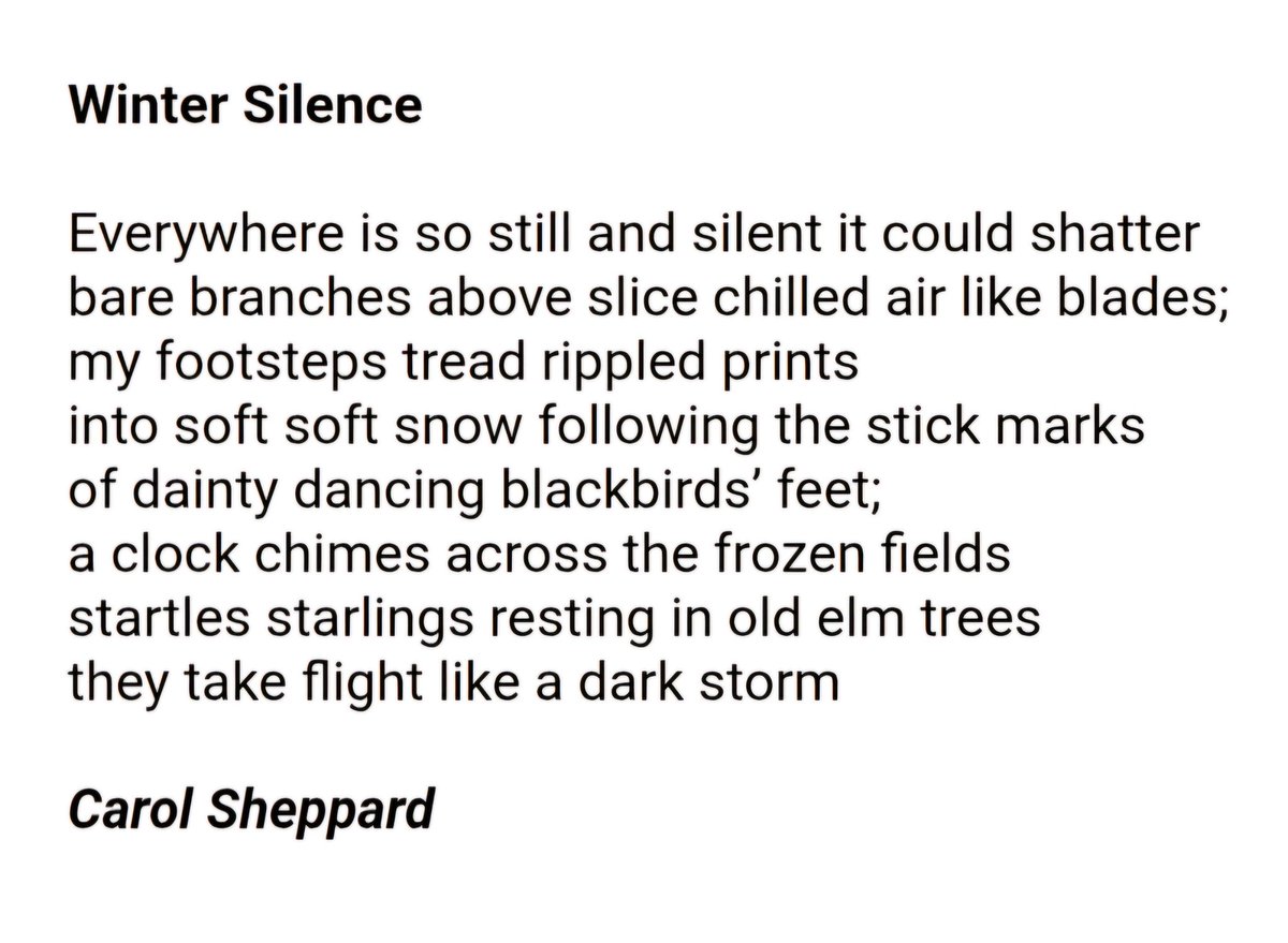 Carol Sheppard tweet media