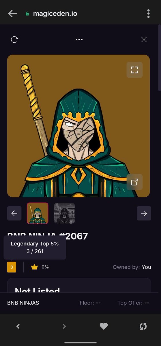 Zenith 🧝 tweet media