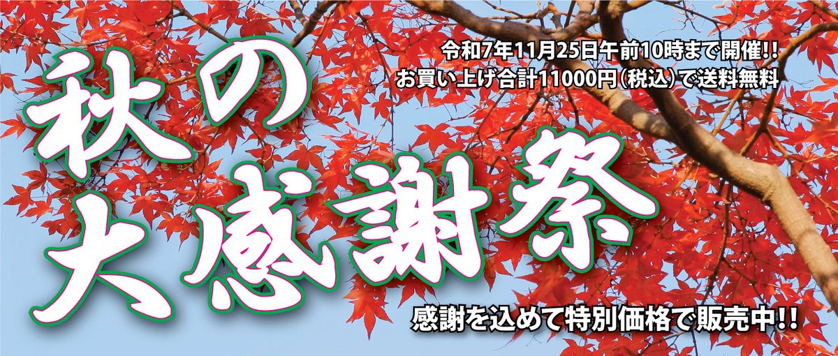 TOPMODELjp's tweet image. 秋の大感謝祭開催中です。topmodel.co.jp/user_data/autu…