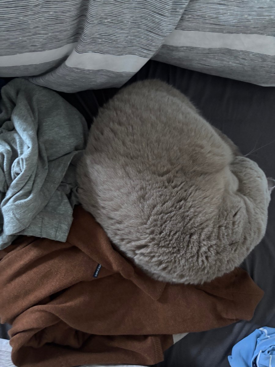 Welke trui zal ik eerst opvouwen? 🥰