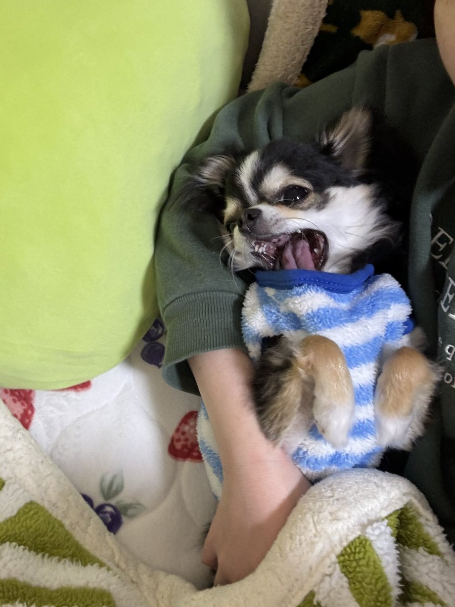 わかった、わかったよ

こうがいいんだよね