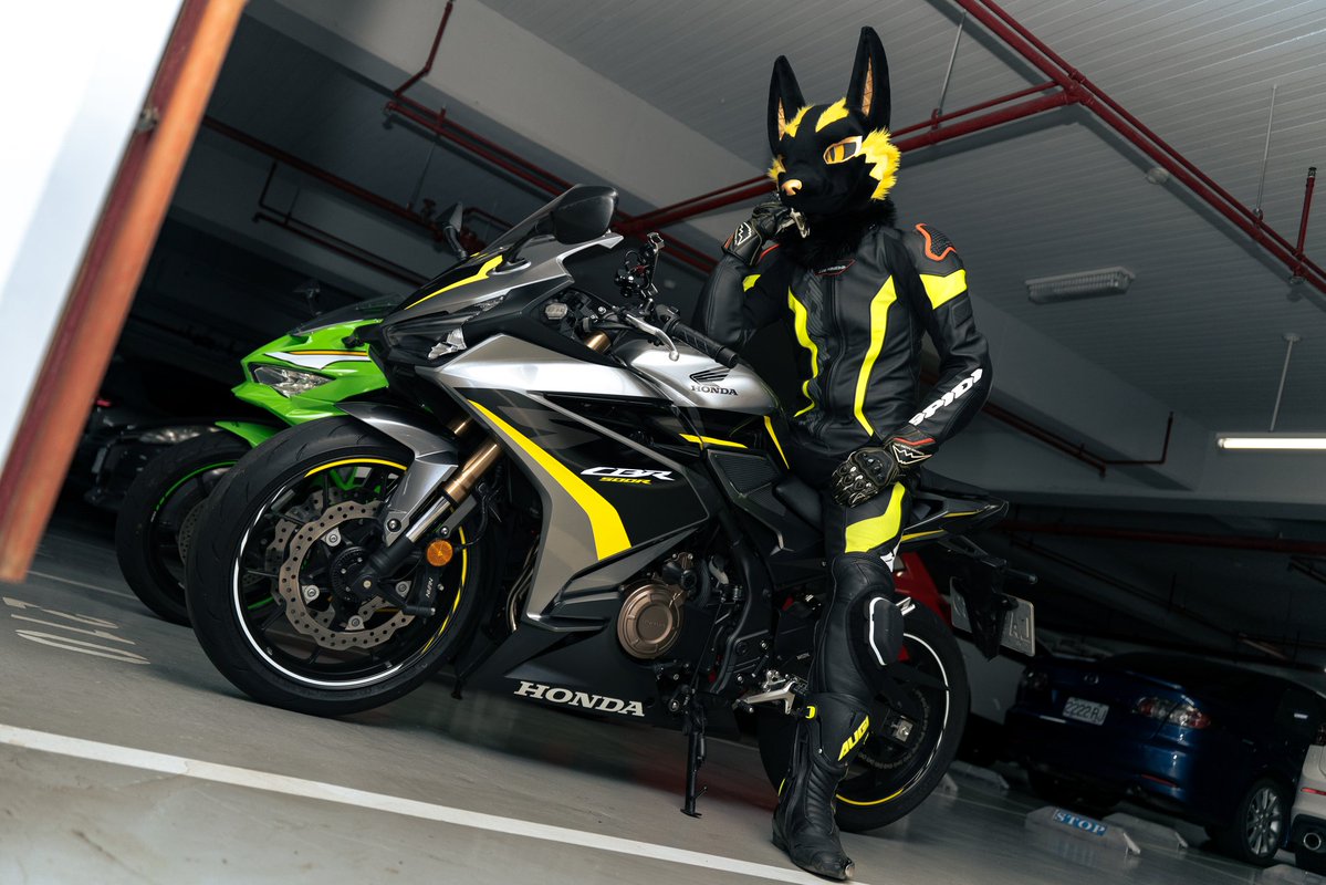 That cycling jersey looks so good...
Should I take advantage buy a set?

​📷: <a href="/HuracanWolf/">烏砍 Huracan</a>
#FursuitEveryday