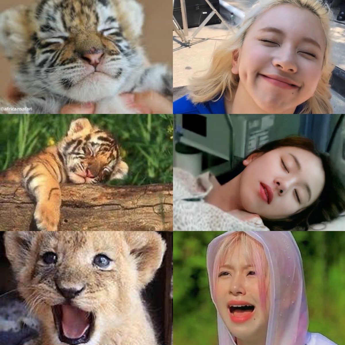 chae_3955's tweet photo. おちぇん大好き https://t.co/6zrAE0yHeF