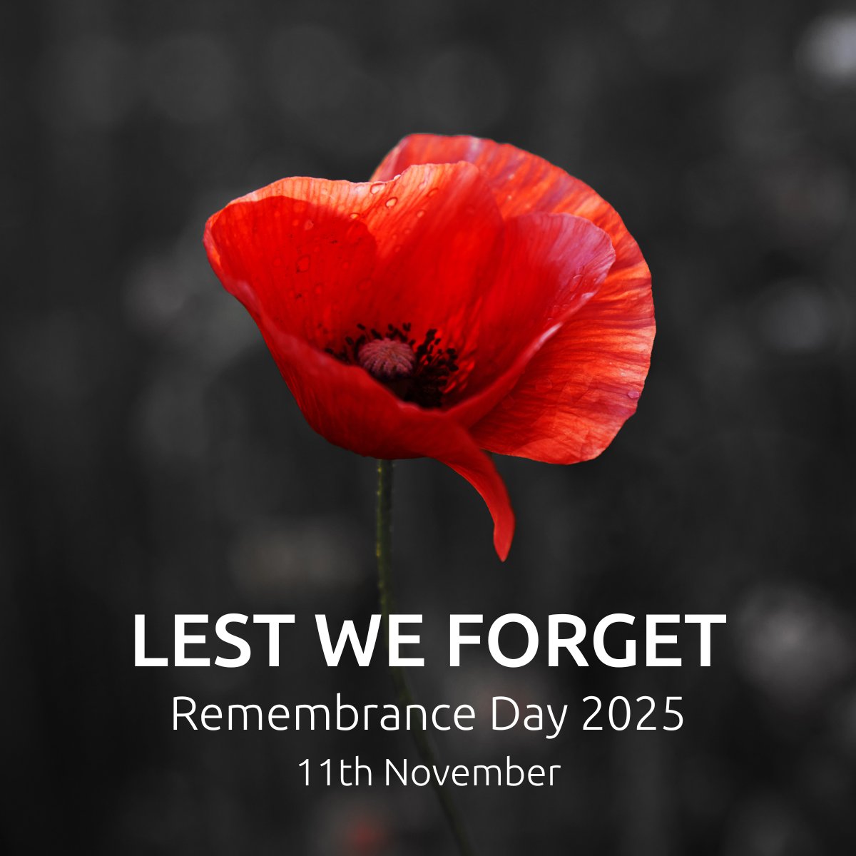 RelyOn Develop tweet media