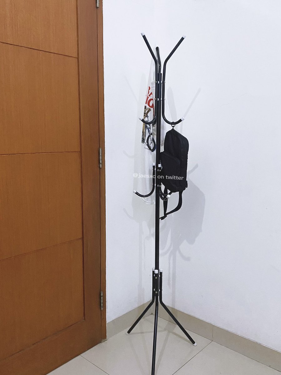 zénith. tweet media