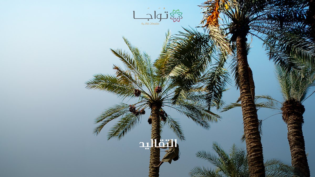 في منتجعات تواجا الفاخرة، نحتفي بتراث المملكة الغني والحرف العريقة التي تعكس تنوع ثقافاتنا الممتدة عبر الأجيال.

#منتجعات_تواجا #شركة_دان #من_نبض_الطبيعة