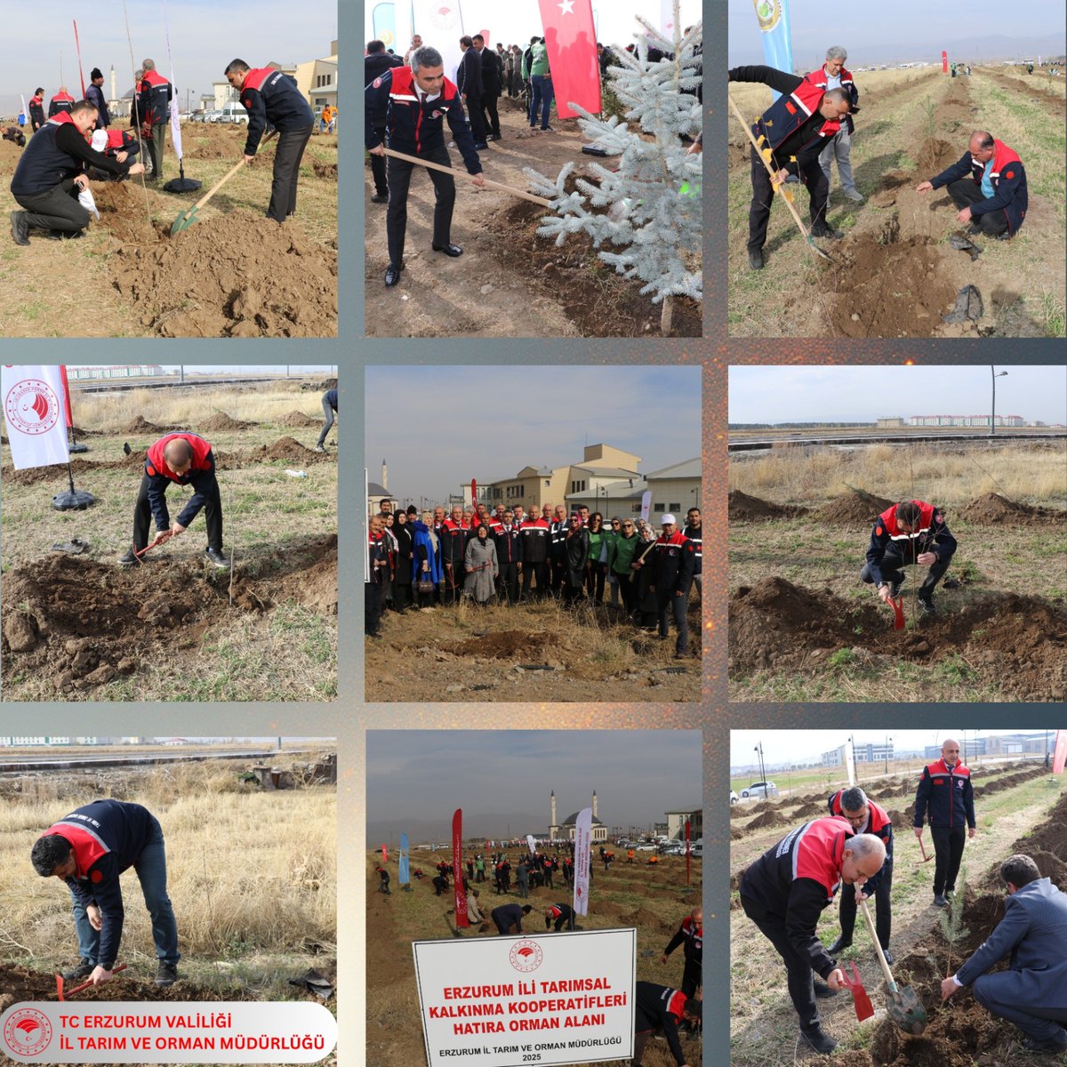11 Kasım Milli Ağaçlandırma Günü’nde, İl Müdürümüz Alpaslan KENGER ve kurum idarecilerimizle birlikte geleceğe nefes olmak için fidanlarımızı toprakla buluşturduk. Her fidanla yarınlara umut, doğaya can kattık.
<a href="/tcbestepe/">T.C. Cumhurbaşkanlığı</a>
<a href="/TCTarim/">T.C. Tarım ve Orman Bakanlığı</a>
<a href="/ibrahimyumakli/">İbrahim Yumaklı</a>
<a href="/ErzurumValiligi/">T.C.Erzurum Valiliği</a>
<a href="/alpaslankenger/">Alpaslan Kenger</a>
