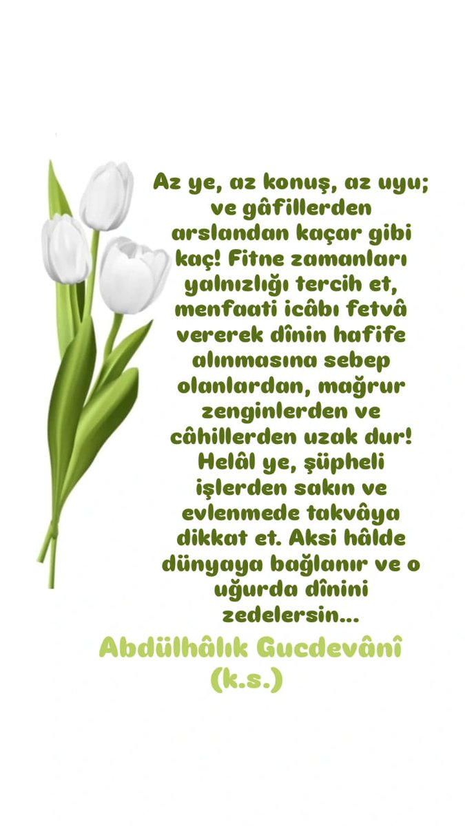 Dilek Saçıkay (@dileksakay2) on Twitter photo 