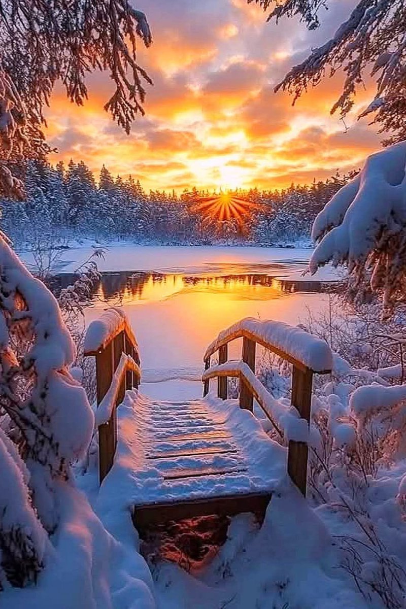 🌾🩵Թɑղժօɾɑ 🩵🌾 tweet media