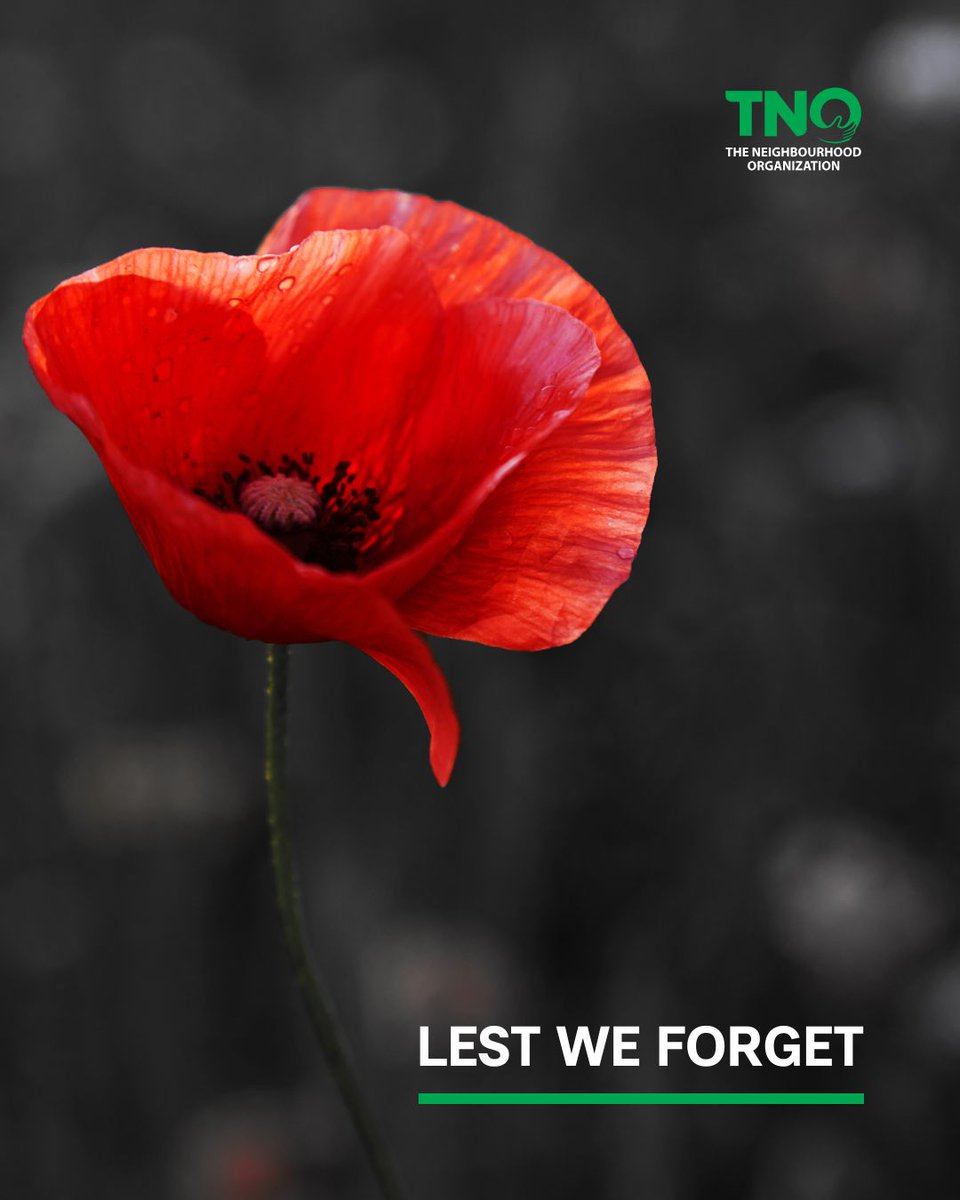 TNOtoronto's tweet photo. Today, we pause to remember and honour the courage, sacrifice, and service of those who fought for peace and freedom. 🌺

Lest we forget.

#RemembranceDay #LestWeForget https://t.co/8VwjtpyzJ4
