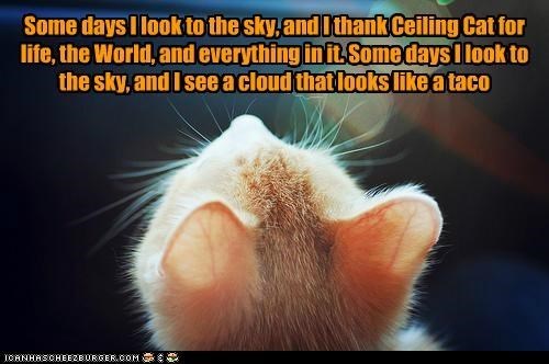 Happy Taco Tuesday! All the tech repair/replacement work has been done now. It should be smooth sailing--operative word being *should*. And it's Tuesday. I have coffee and there will be tacos!