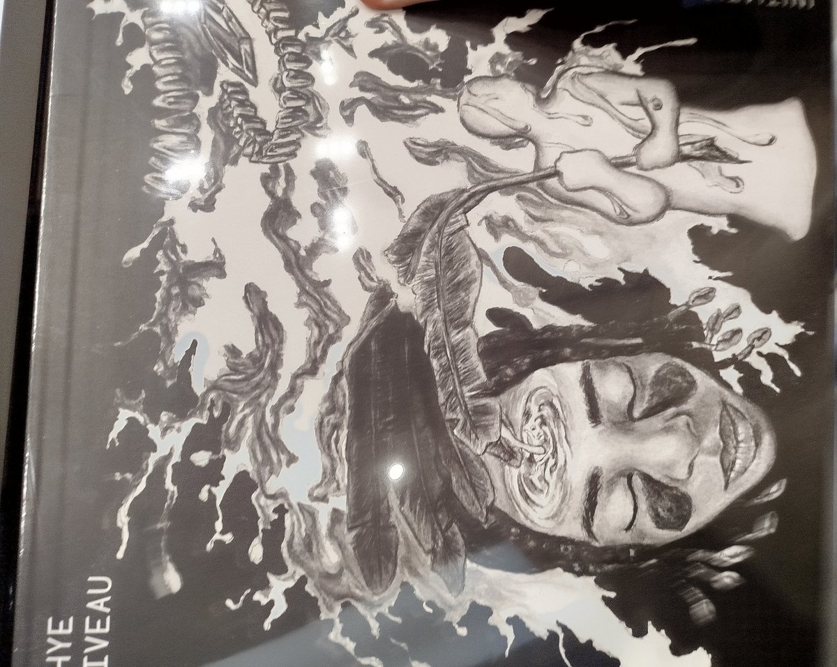 J'ai pris ça en photo mais impossible de retrouver l'album (la photo est très nulle oui), je trouve la cover magnifique, quelqu'un connais ?