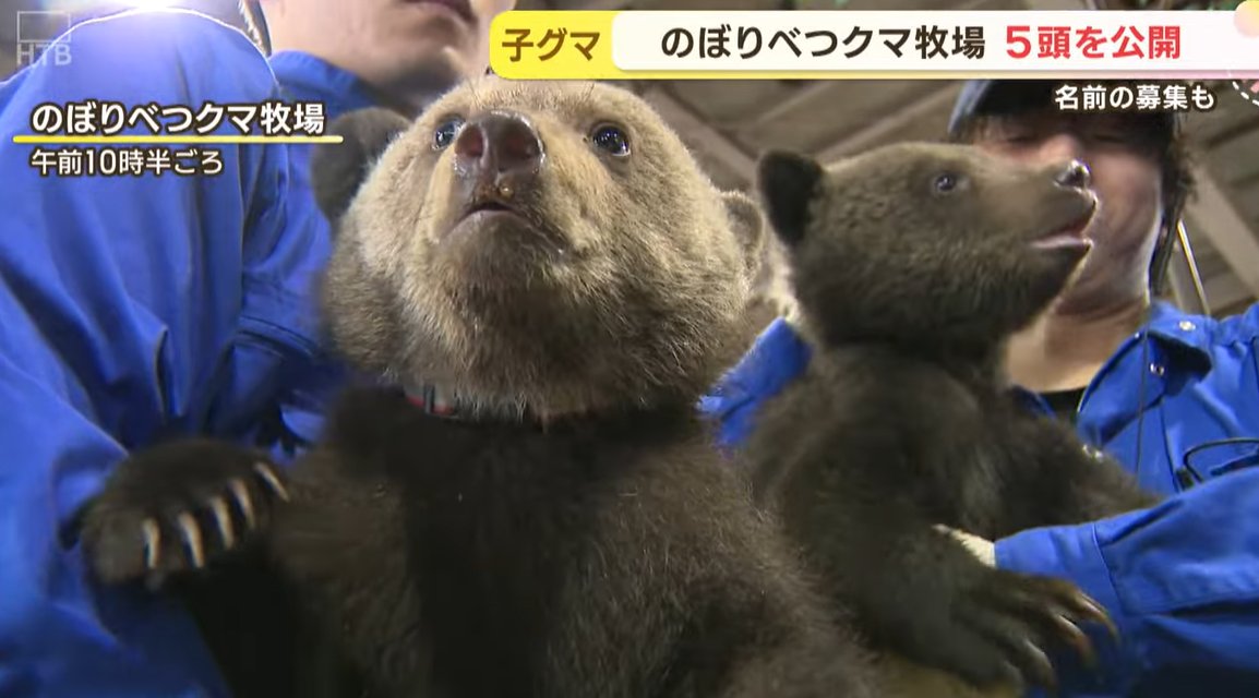 ちゃんとした施設で飼育や保護してる分には文句無い。 でも、外野から