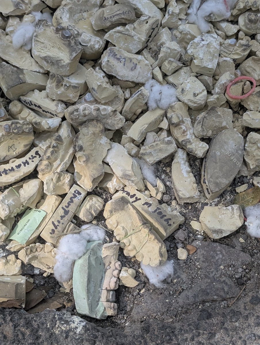 SaumaricDangwa2's tweet image. Bengaluru is not for Beginners: Level 100. 
Someone filled in a pothole in Indiranagar with dentures. Yes, you read that right, dentures! 
You can still see the names of the patients. 🤦🏽🤦🏽

@BbmpEast pls save this mini Mohenjodaro 🙏🏽
#Bengaluru