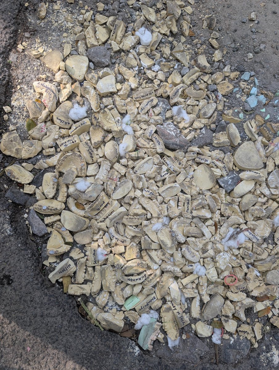 SaumaricDangwa2's tweet image. Bengaluru is not for Beginners: Level 100. 
Someone filled in a pothole in Indiranagar with dentures. Yes, you read that right, dentures! 
You can still see the names of the patients. 🤦🏽🤦🏽

@BbmpEast pls save this mini Mohenjodaro 🙏🏽
#Bengaluru