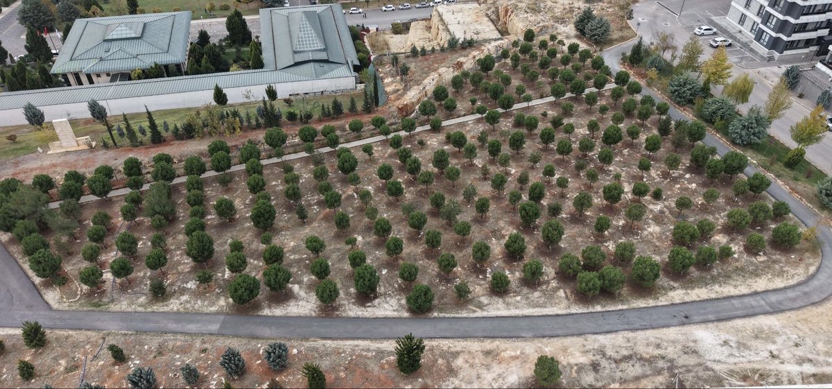 🌍 Gelecek nesillere daha yeşil bir dünya bırakmak için çalışmaya devam ediyoruz!

2024 yılı UI GreenMetric sıralamasında dünyanın en yeşil ve çevreci ilk 250 üniversitesi arasında yer alan🌿 Hasan Kalyoncu Üniversitesi, Milli Ağaçlandırma Günü’nde sürdürülebilir bir dünya için